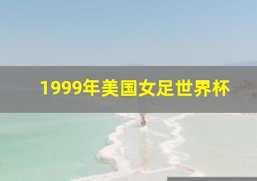 1999年美国女足世界杯