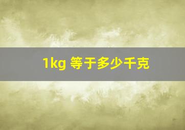 1kg 等于多少千克