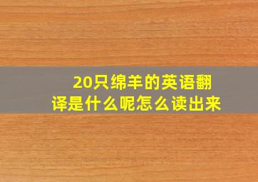 20只绵羊的英语翻译是什么呢怎么读出来