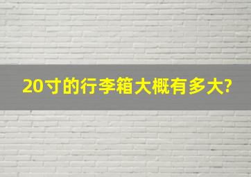 20寸的行李箱大概有多大?