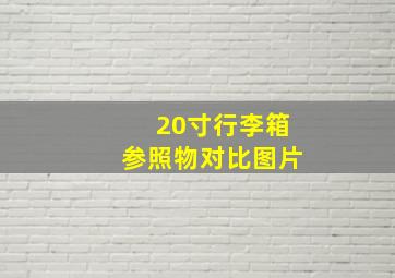 20寸行李箱参照物对比图片