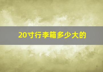 20寸行李箱多少大的