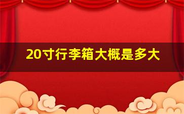 20寸行李箱大概是多大