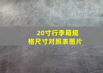 20寸行李箱规格尺寸对照表图片