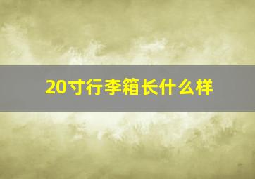 20寸行李箱长什么样