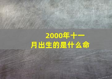 2000年十一月出生的是什么命