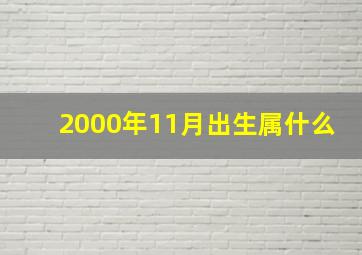 2000年11月出生属什么