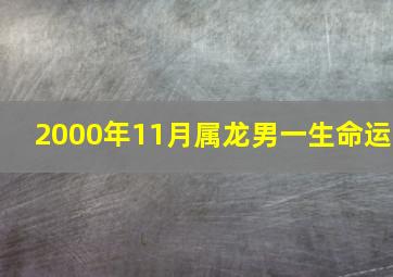 2000年11月属龙男一生命运