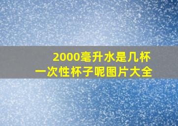 2000毫升水是几杯一次性杯子呢图片大全