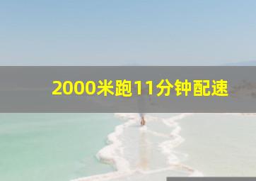 2000米跑11分钟配速