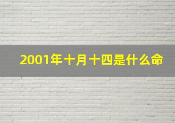 2001年十月十四是什么命