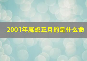 2001年属蛇正月的是什么命