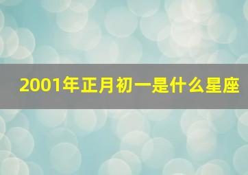 2001年正月初一是什么星座