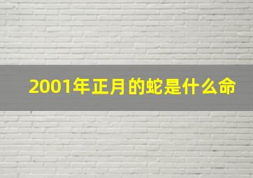 2001年正月的蛇是什么命