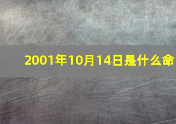 2001年10月14日是什么命