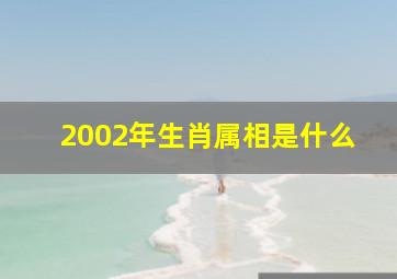 2002年生肖属相是什么