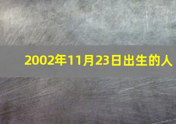 2002年11月23日出生的人