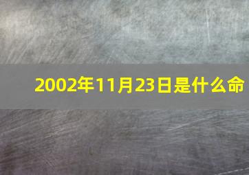 2002年11月23日是什么命