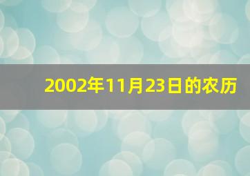 2002年11月23日的农历