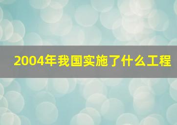 2004年我国实施了什么工程