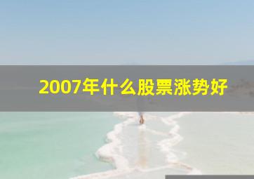 2007年什么股票涨势好