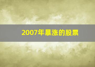 2007年暴涨的股票