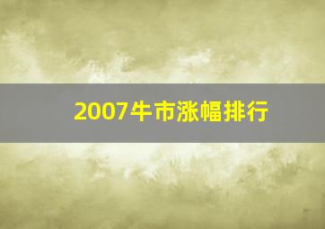 2007牛市涨幅排行