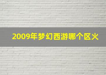 2009年梦幻西游哪个区火