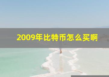 2009年比特币怎么买啊