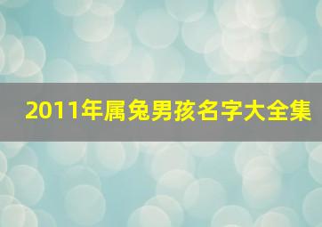 2011年属兔男孩名字大全集