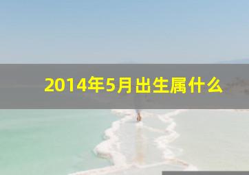 2014年5月出生属什么