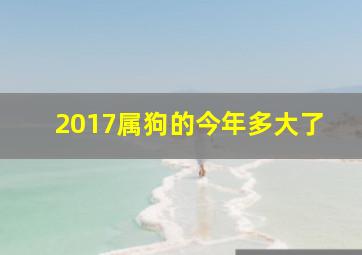 2017属狗的今年多大了