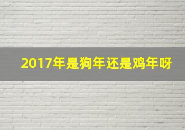 2017年是狗年还是鸡年呀