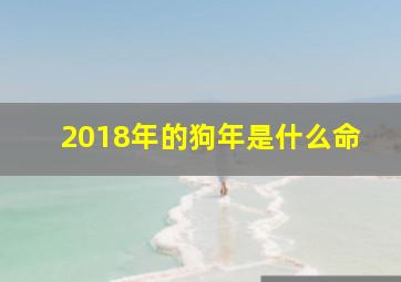 2018年的狗年是什么命