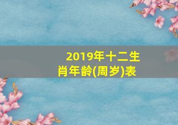 2019年十二生肖年龄(周岁)表