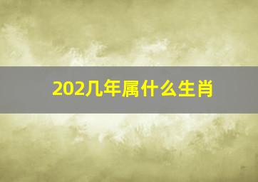 202几年属什么生肖