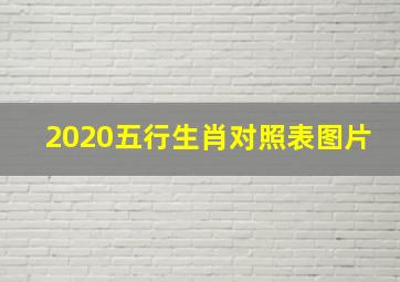 2020五行生肖对照表图片