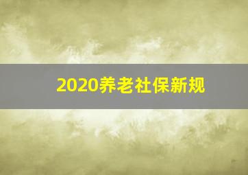 2020养老社保新规