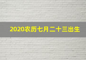 2020农历七月二十三出生