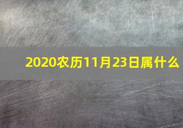 2020农历11月23日属什么