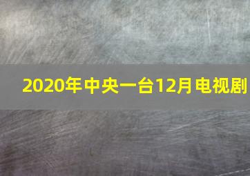 2020年中央一台12月电视剧