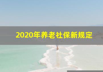 2020年养老社保新规定