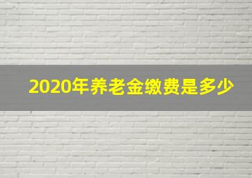 2020年养老金缴费是多少