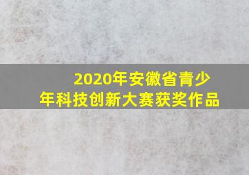 2020年安徽省青少年科技创新大赛获奖作品