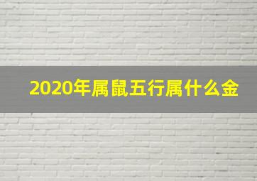 2020年属鼠五行属什么金