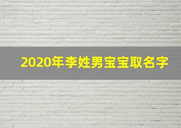 2020年李姓男宝宝取名字