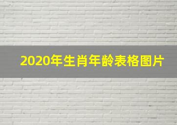 2020年生肖年龄表格图片