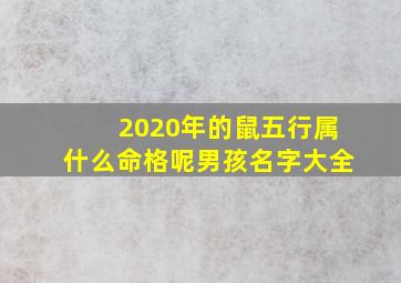 2020年的鼠五行属什么命格呢男孩名字大全