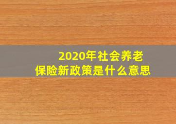 2020年社会养老保险新政策是什么意思