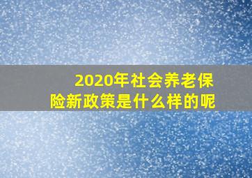 2020年社会养老保险新政策是什么样的呢